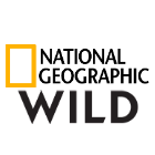 Nat Geo Wild Россия